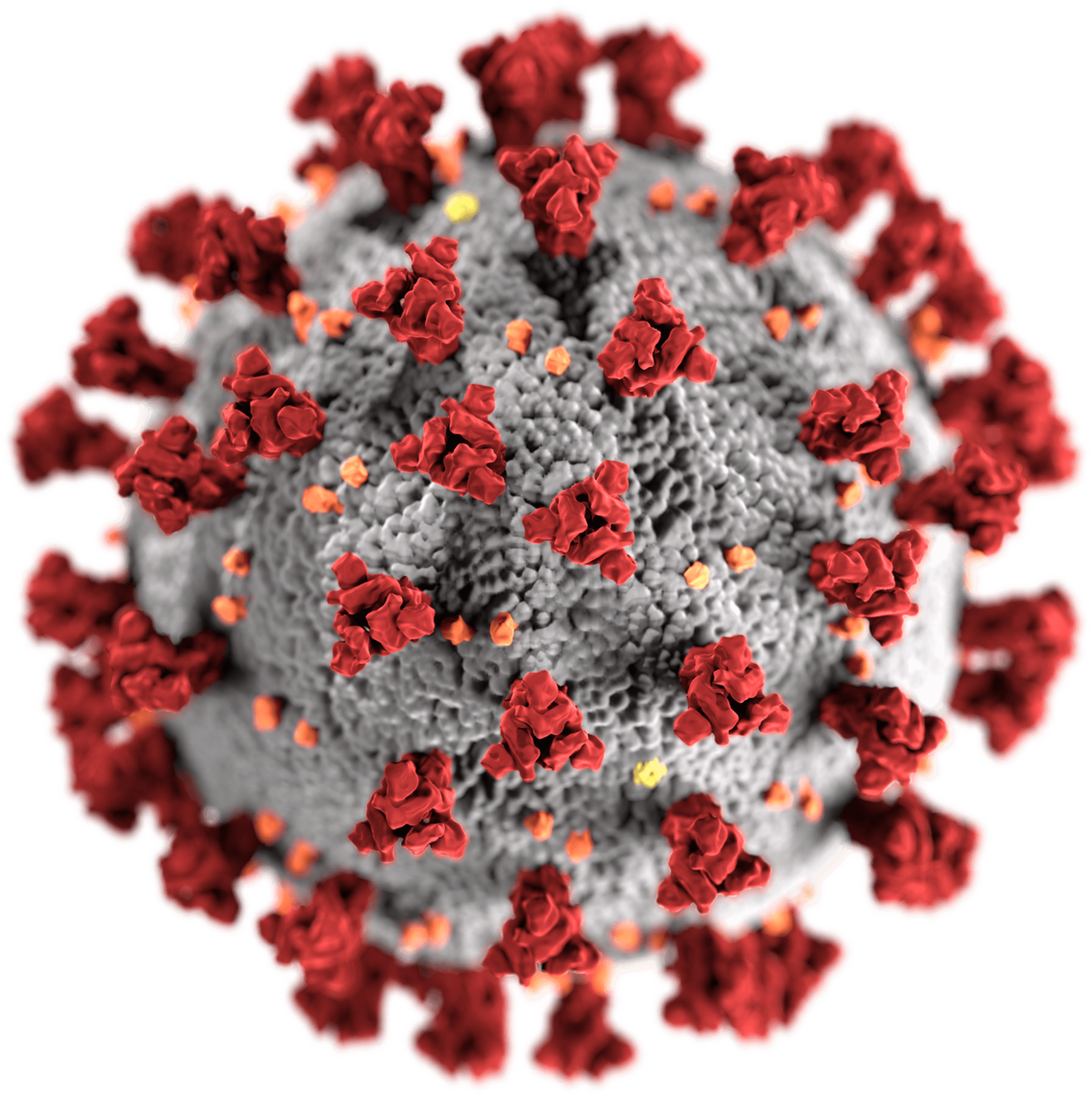 coronavirus png93658